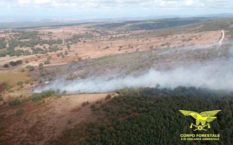 Incendio in agro di Bonorva