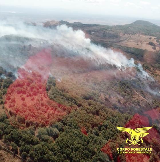 Incendio silanus