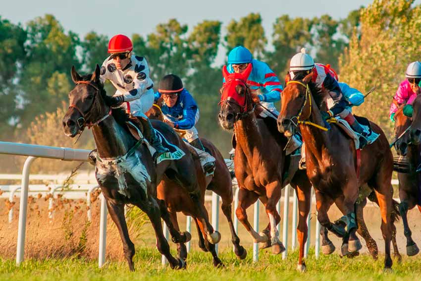 Ippodromo di Chilivani Foto E. Pane