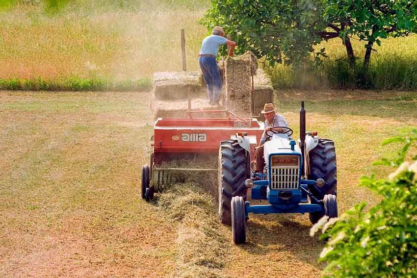 Agricoltori