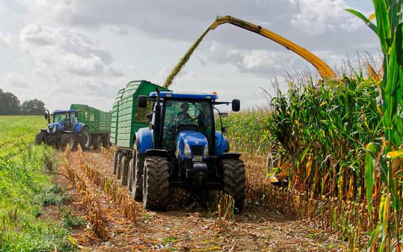 Agricoltura Sardegna