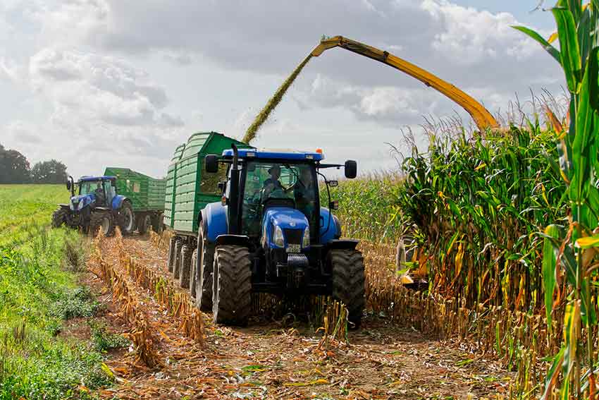 Agricoltura Sardegna