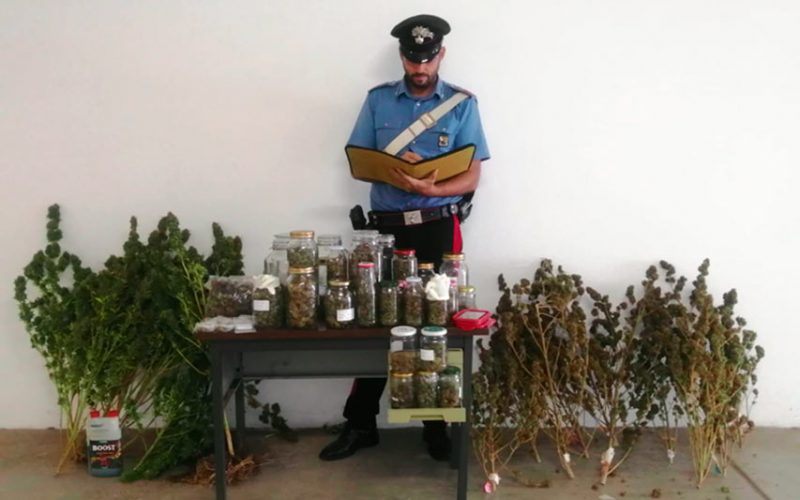 Arrestato droga ad Arzachena