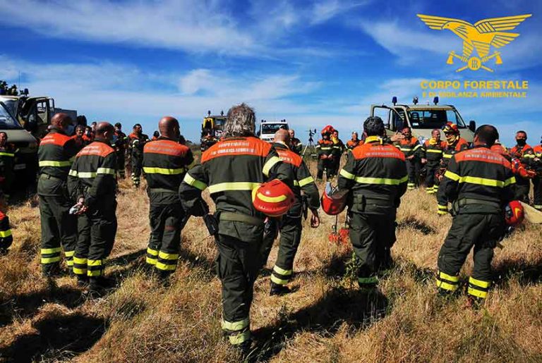 Corpo Forestale Sardegna, bandito concorso per 78 assunzioni Logudoro live