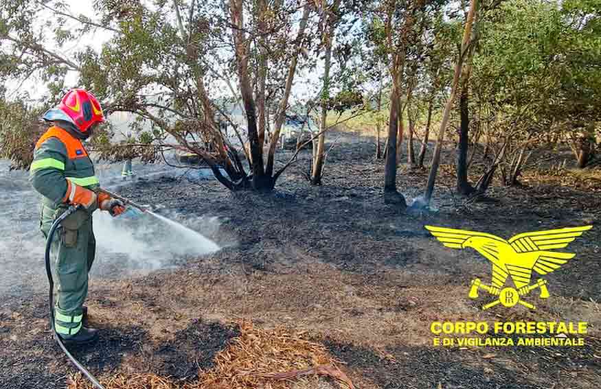 Incendi: a Buddusò, Baressa e Fordongianus in volo i mezzi aerei del Corpo Forestale 1 Incendio Buddusò