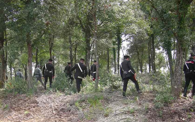 Piromane di Guspini arrestato