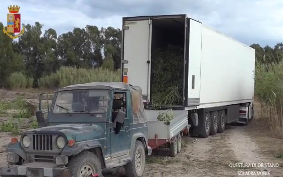 Santa Giusta piante cannabis