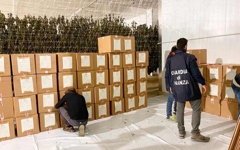 Sequestro 1 tonnellata canapa a Bolotana