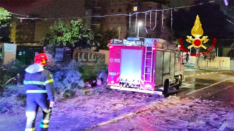 Caduta pino Cagliari viale Cimitero