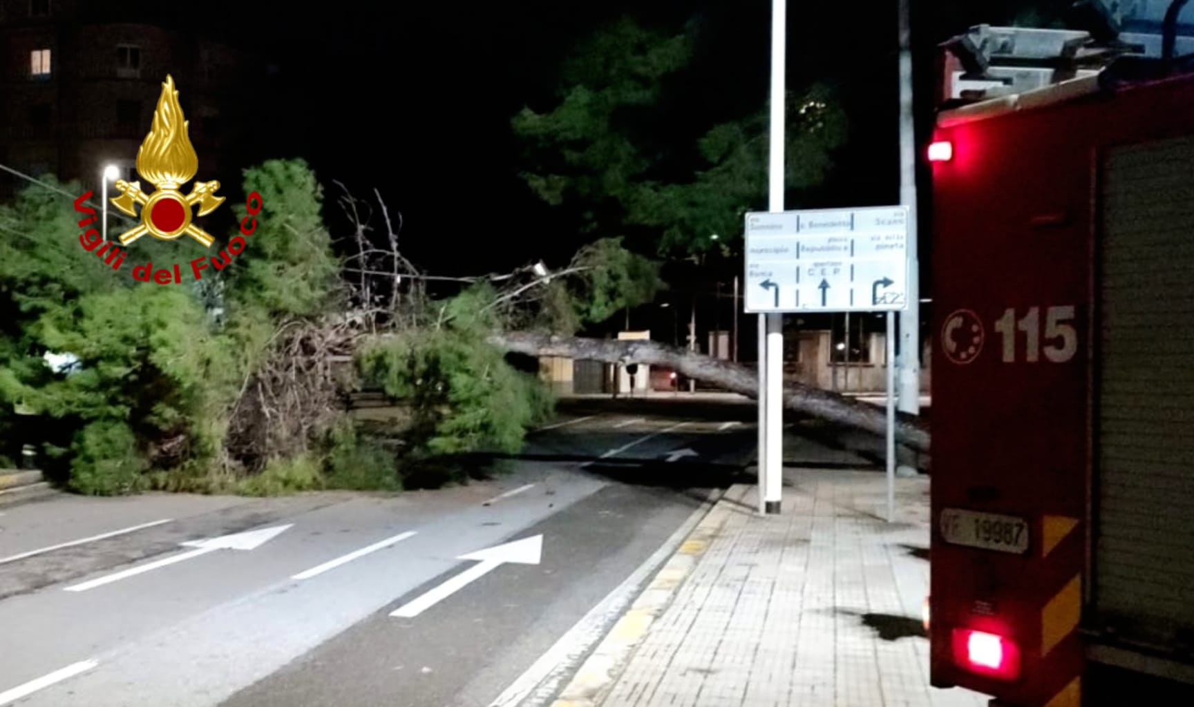 Cagliari caduta pino viale Cimitero.53.22