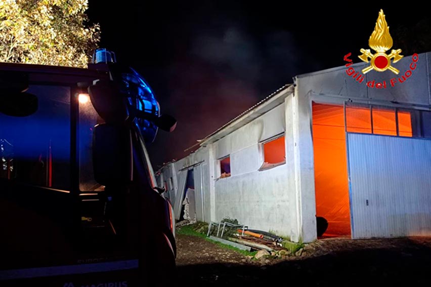 Capannone distrutto da un incendio a Fonni, morti 40 vitelli 2 Incendio capannone agricolo Fonni