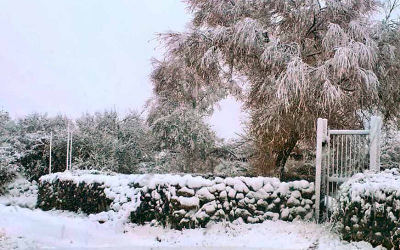 Neve in Sardegna