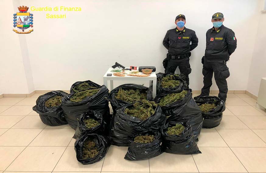 Olbia. In casa con 37 chili di marijuana e una pistola: arrestato 1 Olbia GdF sequestati 37 kg di Marijuana