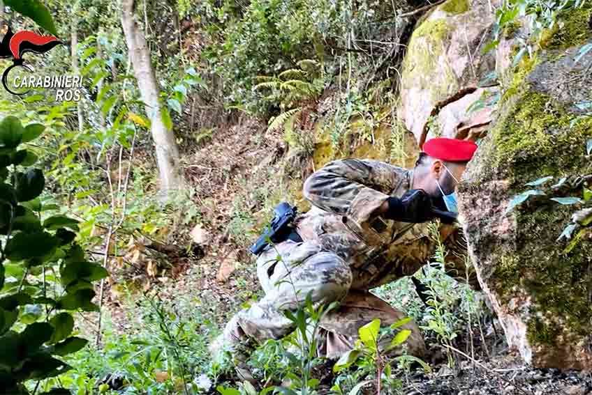 Traffico di droga dalla Calabria alla Sardegna, arrestate 7 persone 2 Operazione Marghine Carabinieri