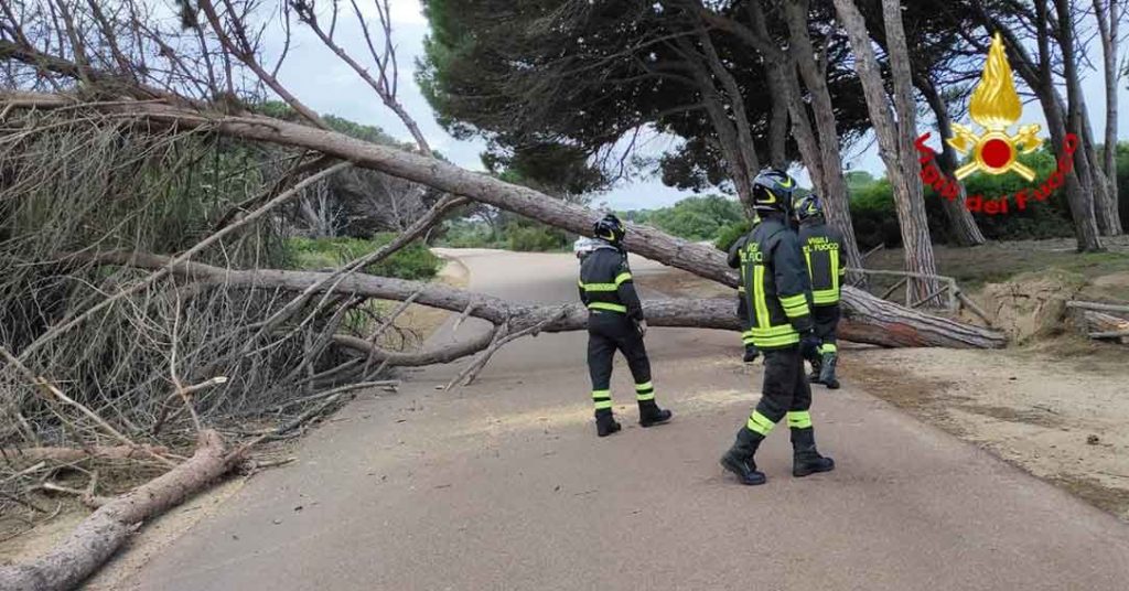 Alberi caduti a La Maddalena forte vento