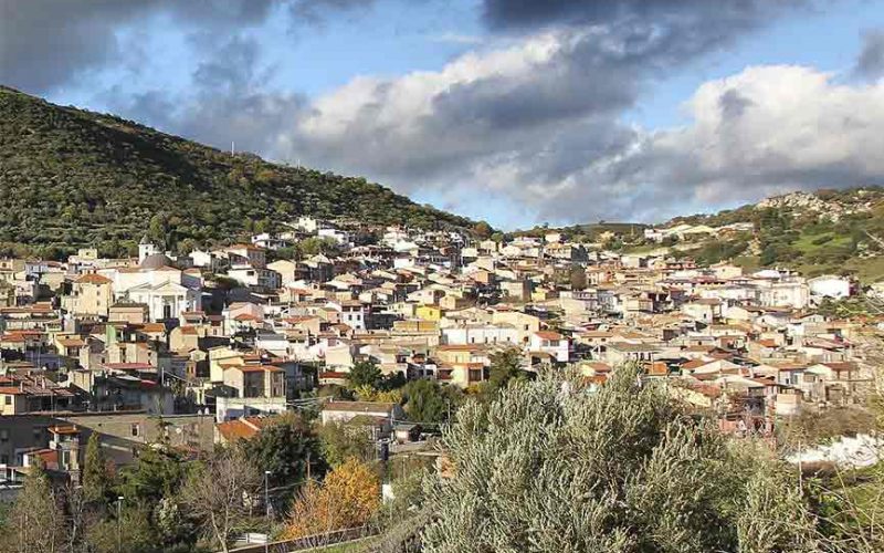 Orani
