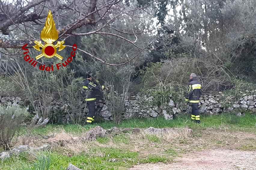 Ragazzo scompare da San Pantaleo, ritrovato dai Vigili del Fuoco di Arzachena a La Celvia 2 Ragazzo scomparso San Pantaleo