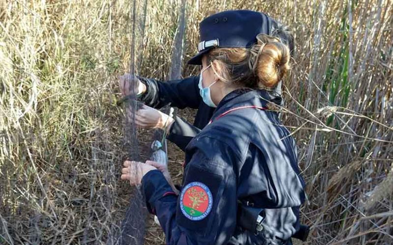 Reti uccellagione Quartu maracalagonis