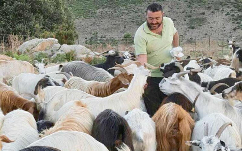 Stefano Arzu Coldiretti Sardegna