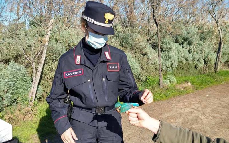 antibracconaggio quartucciu