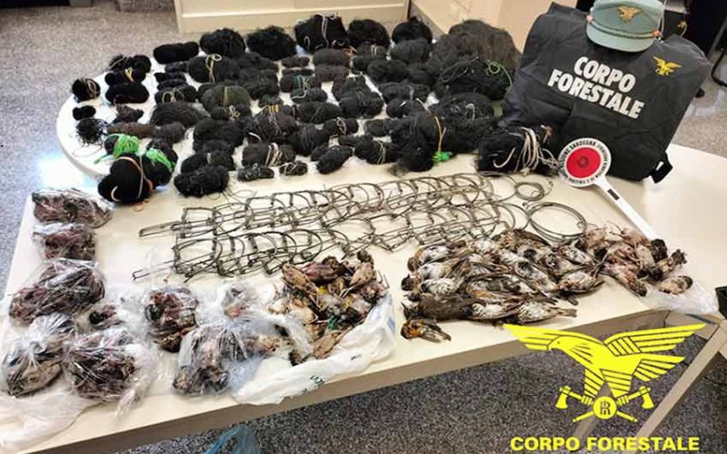 Bracconaggio Uta e Maracalagonis