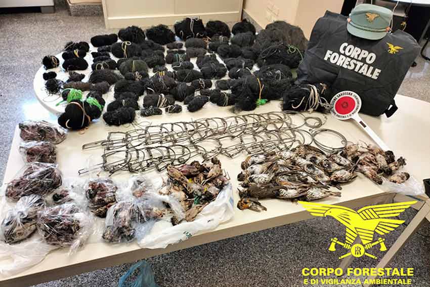 Bracconaggio, 2 denunce nel Sud Sardegna 1 Bracconaggio Uta e Maracalagonis