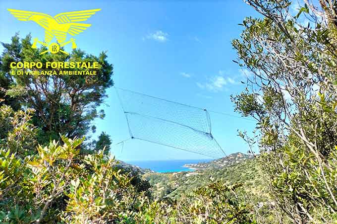 Bracconaggio, 2 denunce nel Sud Sardegna 2 Rete cattura ucelli bracconaggio