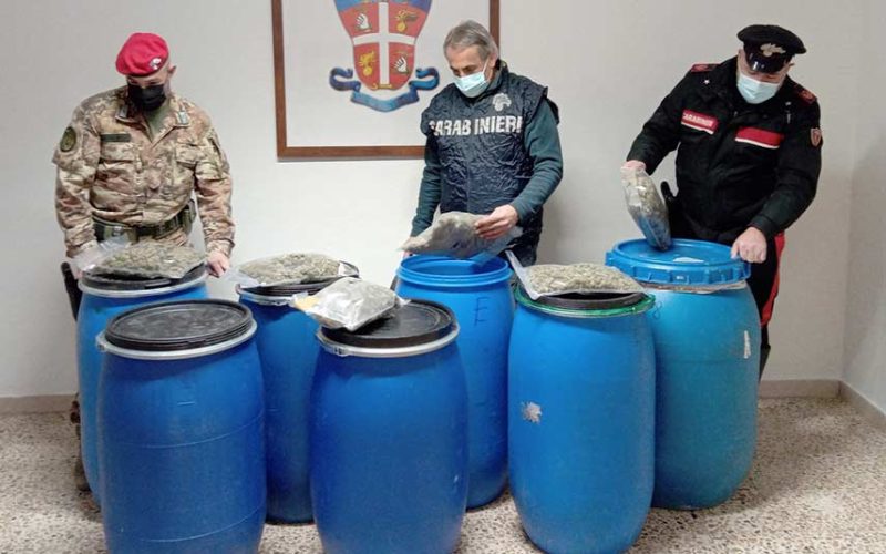 marijuana bonorva arrestato giovane Burgos
