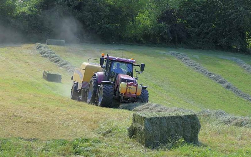 Trattore campagna Psr