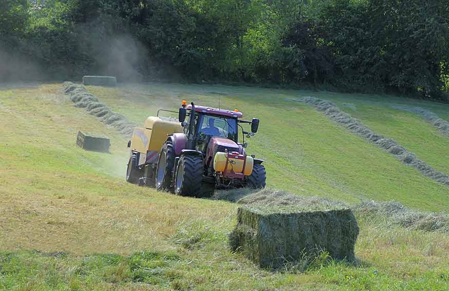 Trattore campagna Psr