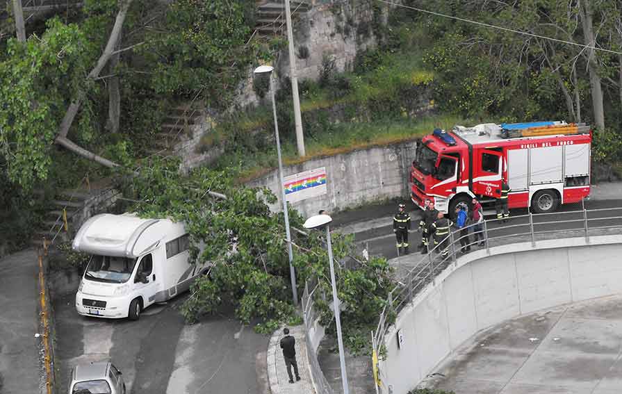 Ozieri, grosso ramo cade su vicolo Ariosto e colpisce un caravan: sfiorata la tragedia 1 Albero vicolo Ariosto Ozieri