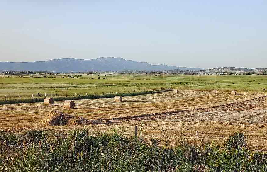 Piana di Chilivani