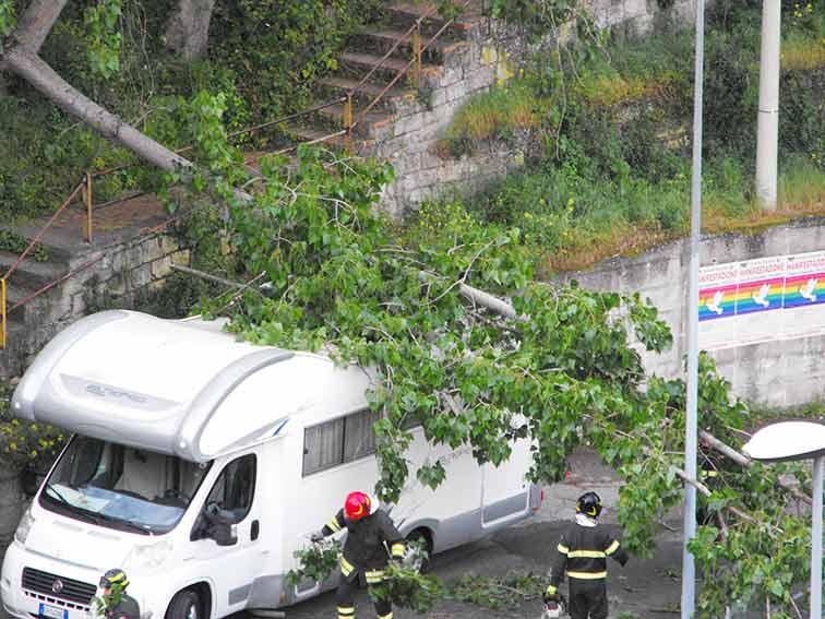 Ozieri, grosso ramo cade su vicolo Ariosto e colpisce un caravan: sfiorata la tragedia 2 Vicolo Ariosto Ozieri albero