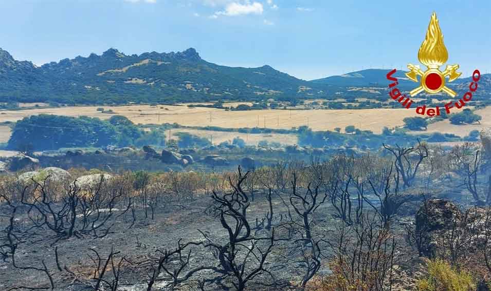 Incendio Aggius