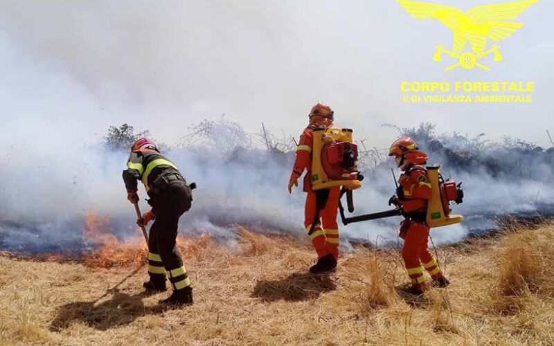 Corpo Forestale incendio