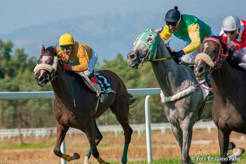 Corsa Cavalli foto Emiliano Pane