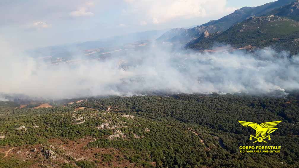 Incendio calangianus Ea Bona