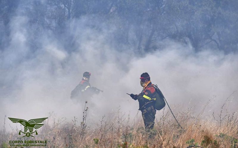 Incendio uomini forestale