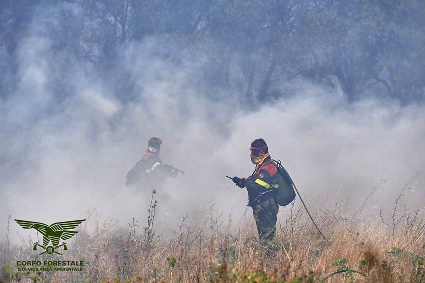 Incendio uomini forestale