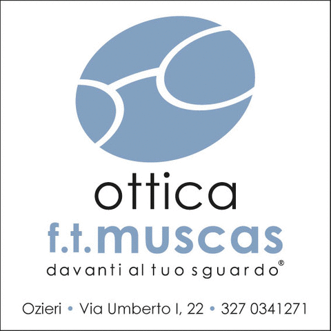 Muscas con Foto