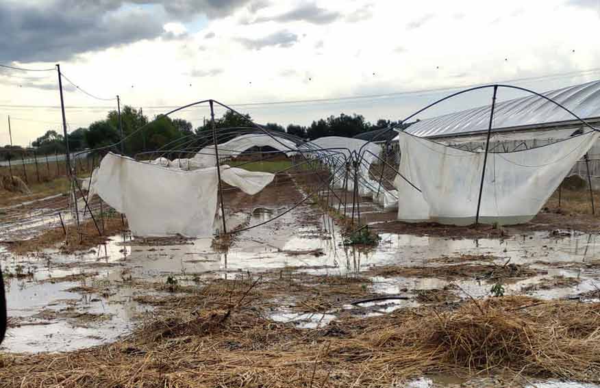 Sud Sardegna Danni maltempo Cia Sardegna