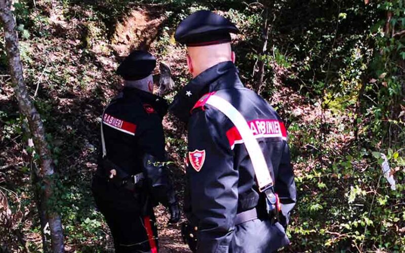 Carabinieri bosco