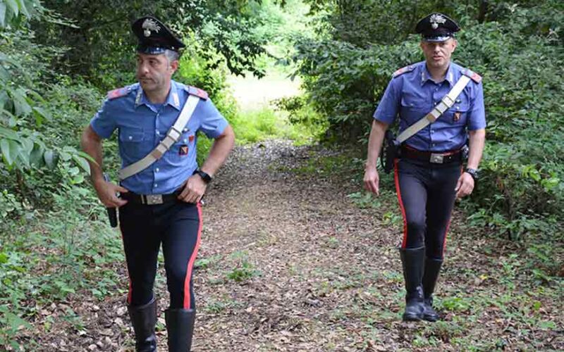 Carabinieri in campagna