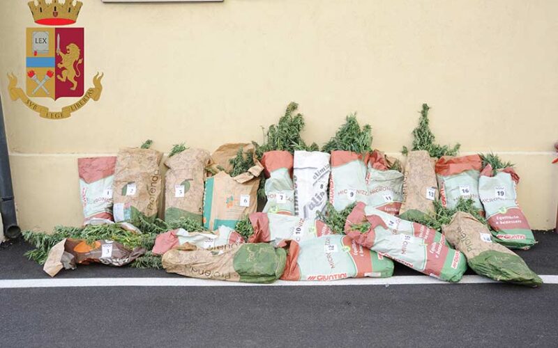 polizia Stato nuoro arresto allevatore droga