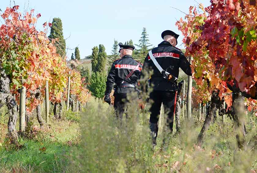 Carabinieri vigna