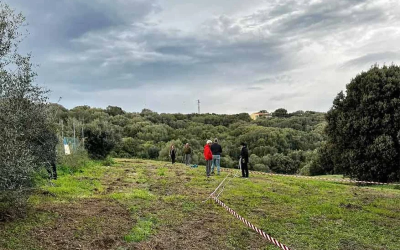 Festa nazionale dellAlbero a Telti