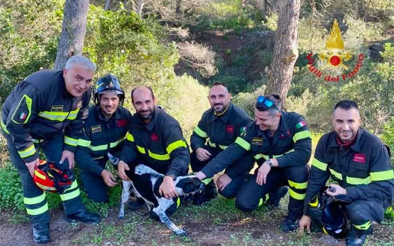 Cane salvato a Carloforte