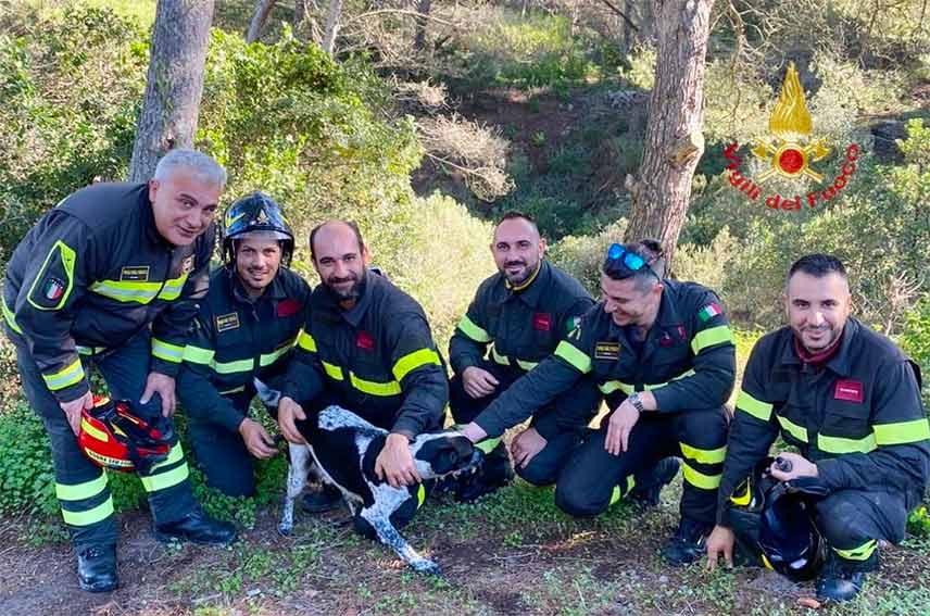 Carloforte. Resta intrappolato in un tunnel, cane salvato dai Vigili del Fuoco 1 Cane salvato a Carloforte