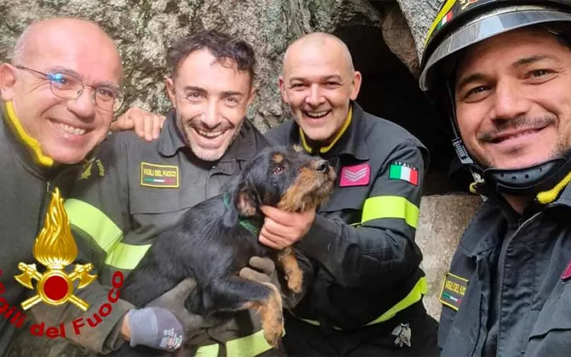 Salvataggio Cani Vigili del Fuoco Olbia