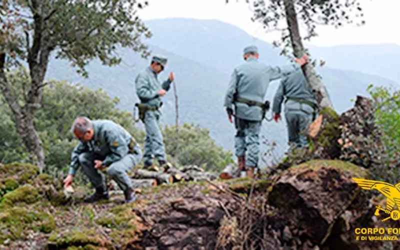 taglio legna bosco Ballao